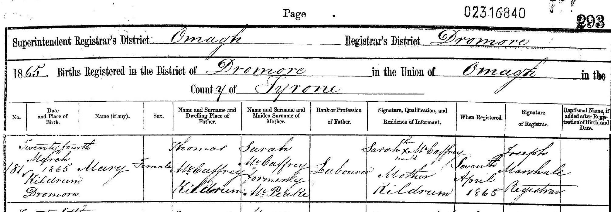 Birth of Mary McCaffrey, 1865 โ births_1865/03573/2316840.pdf (cropped to the page heading and entry 181)