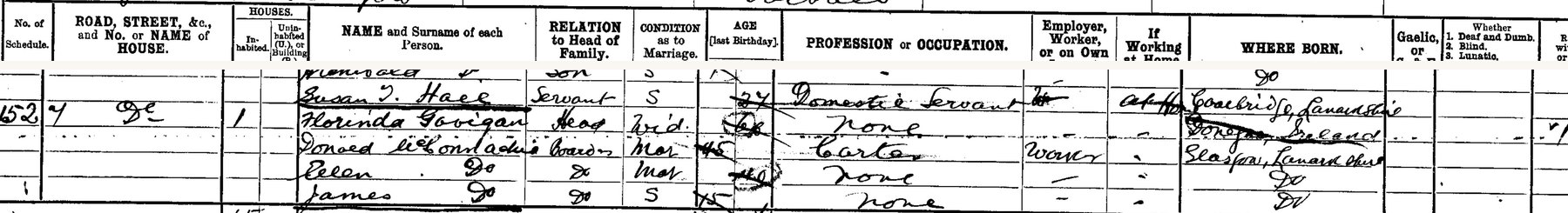 1901 Census, Portugal Lane, Gorbals โ Florinda Gavigan 1901 Census.pdf